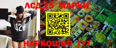 гашик Нальчик