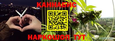 гашик Нальчик